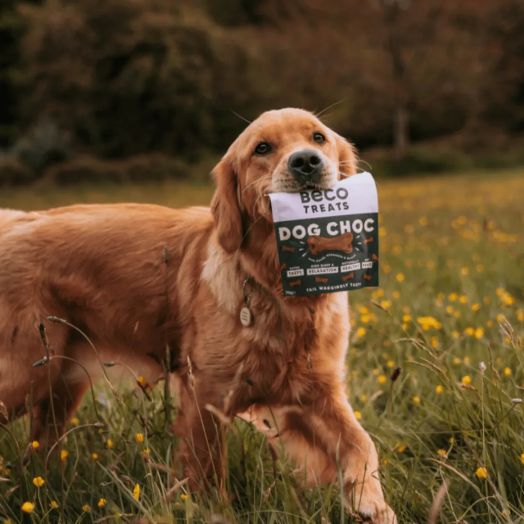 Beco Dog Choc Carob with Chamomile & Quinoa Treats